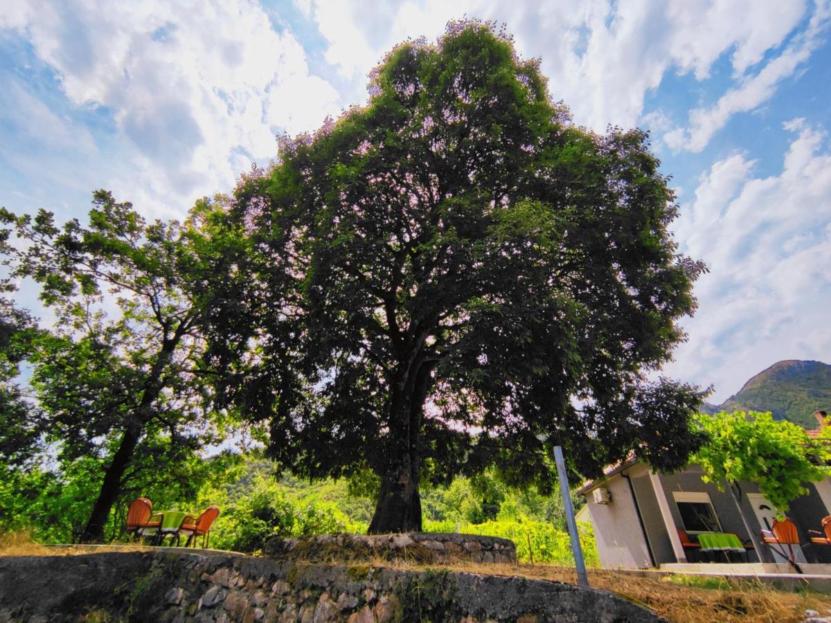 Celtis Shade House Villa เวียร์ปาซาร์ ภายนอก รูปภาพ